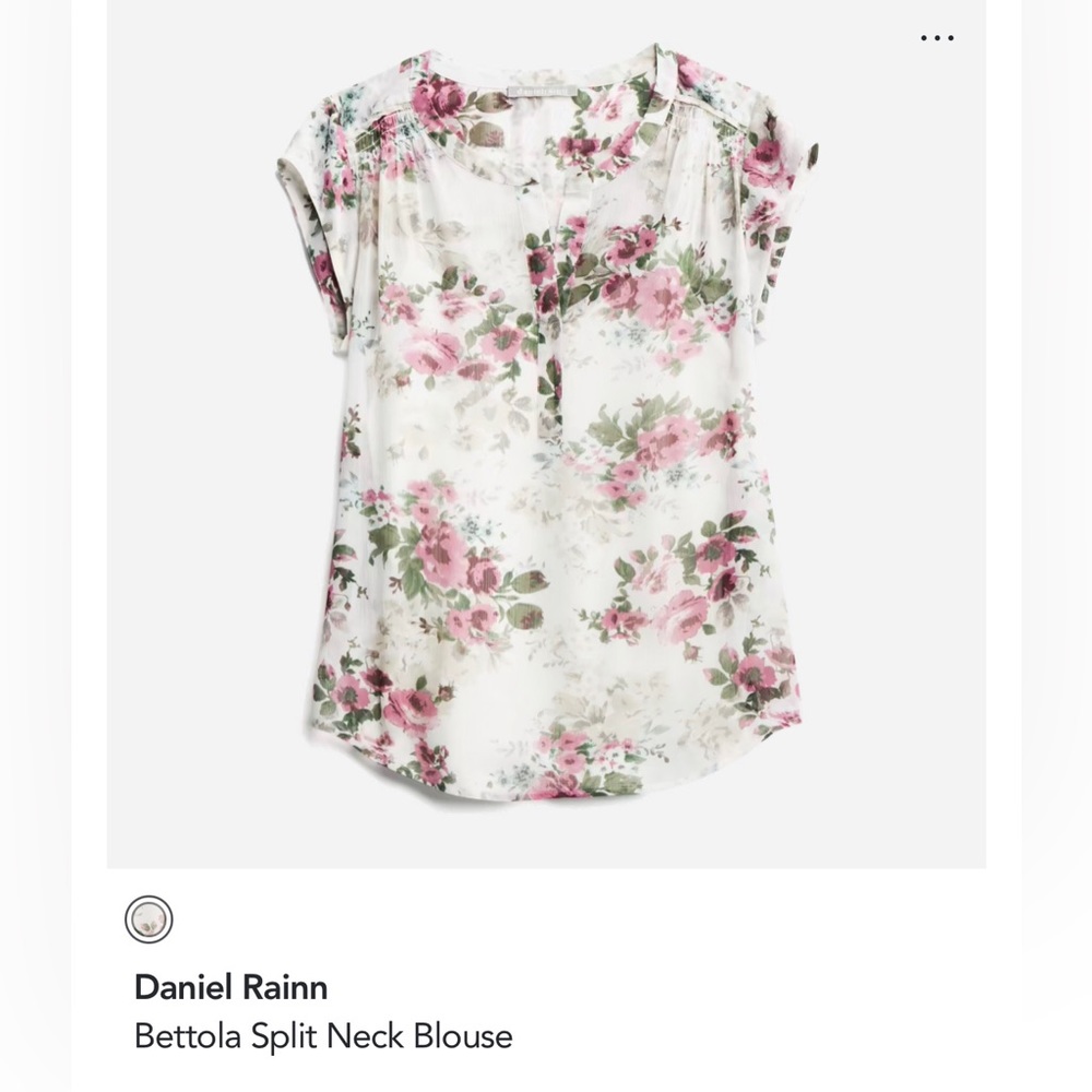 Small sheer blouse